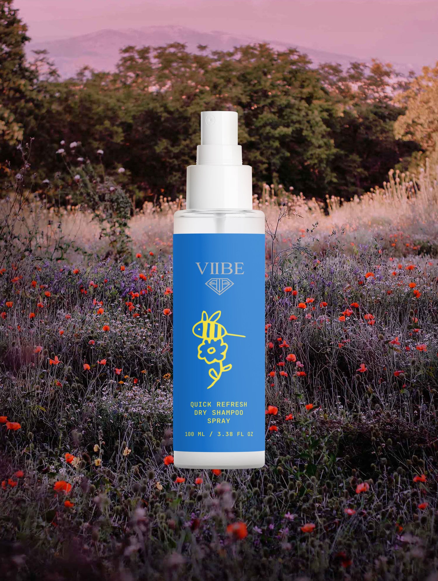 Quick Refresh Dry Shampoo Spray