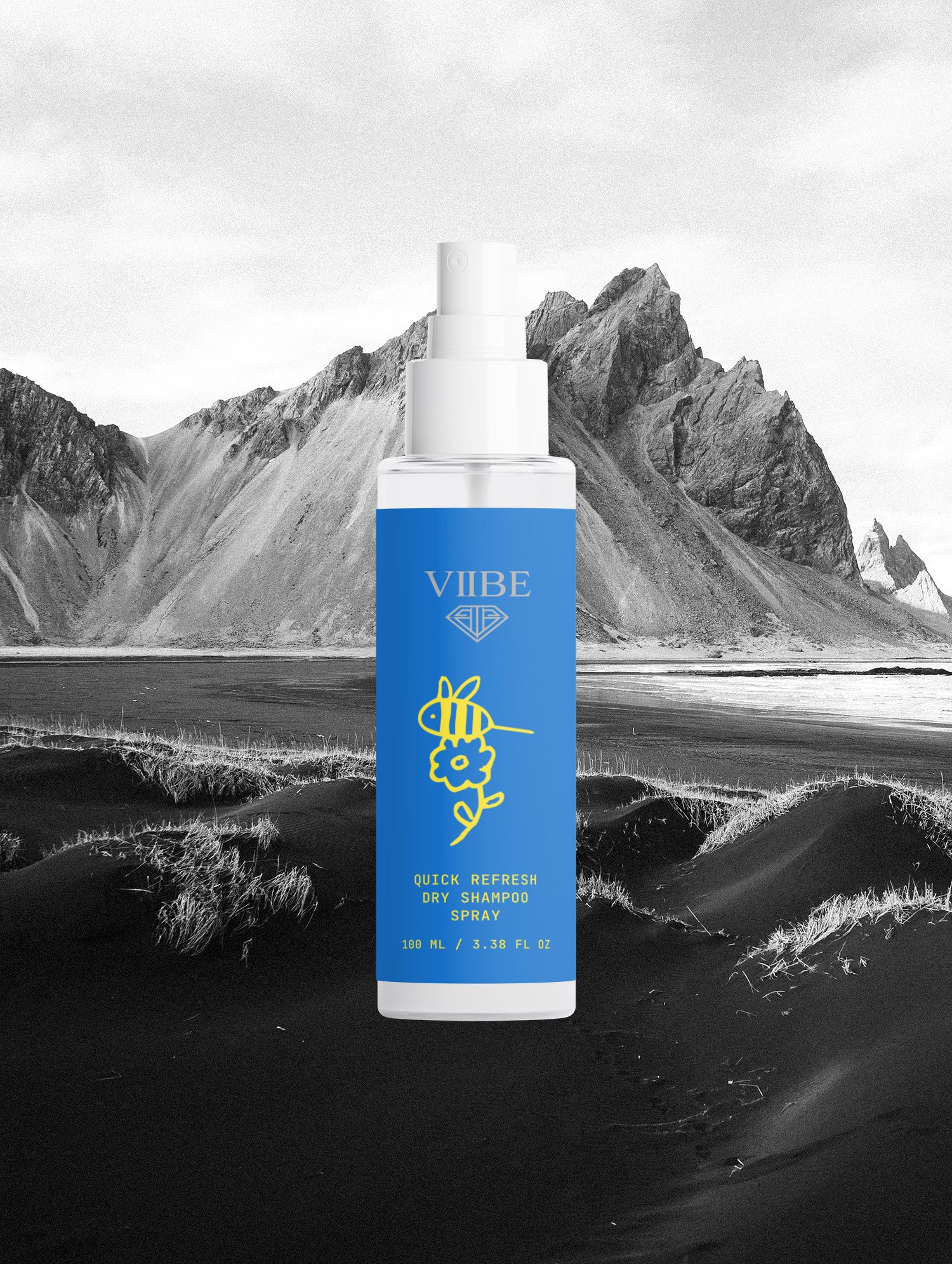 Quick Refresh Dry Shampoo Spray